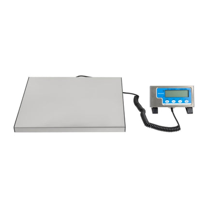 60kg Digital Scale | Salter
