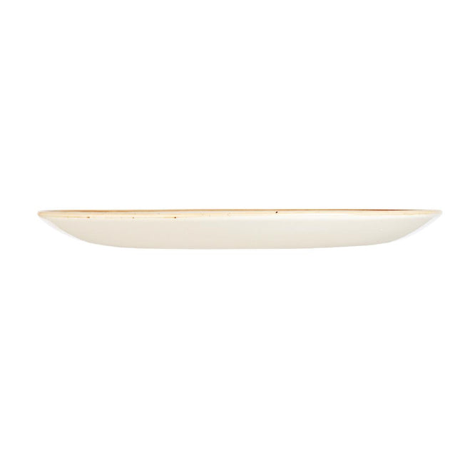 Evolve Coupe Plate Spiced Orange Stonecast | Churchill | 21.7cm 2