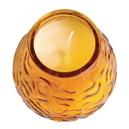 Amber Lowboy Wax-Filled Candles | Bolsius | Pack of 12 2