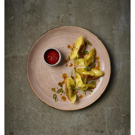 Stonecast Raw Terracotta Evolve Coupe Plate 286mm | Churchill 2