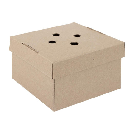 Compostable Foldable Hamburger Boxes | Fiesta