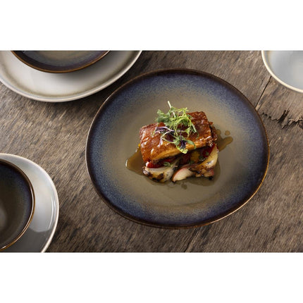 Coupe Plates Aubergine Reactive Glaze 270mm | Olympia Birch 6