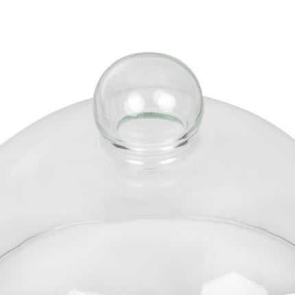 Glass Cloche for Pastry and Cheese Boards | 21cm Diameter 3