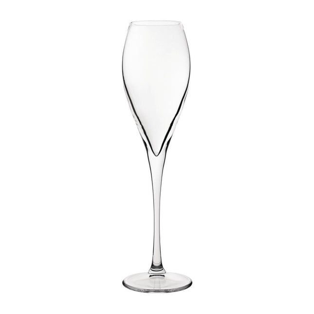 Monte Carlo Champagne Glasses 230ml | Utopia (24 Pieces)