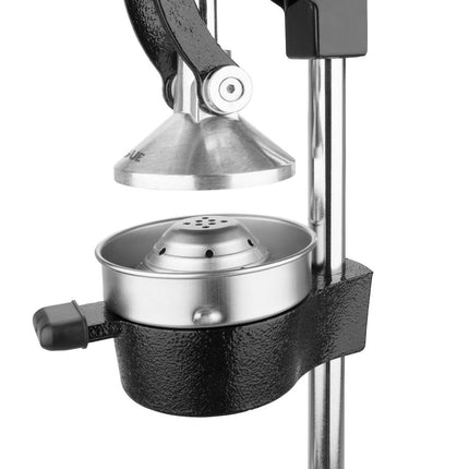 Cast Iron Orange Juicer with Removable Stainless Steel Cone | Vogue 3