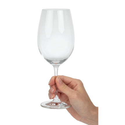 Ivento Red Wine Glasses 480ml | Schott Zwiesel 4