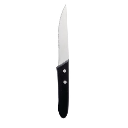 Steak Knives with Stainless Steel Blades | Deglon Sabatier 2