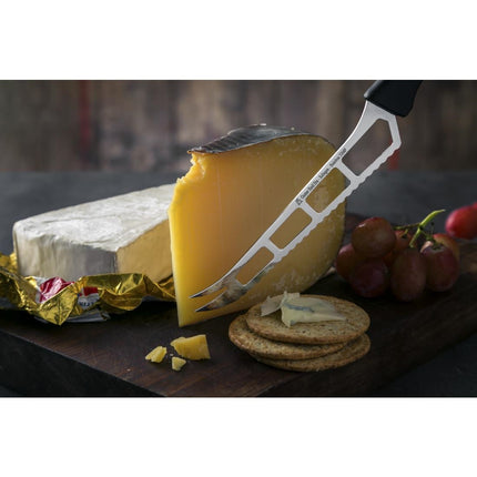 Cheese Knife Stainless Steel with Plastic Handle 25.5cm 2