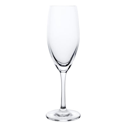 Champagne Flutes Crystal 195ml | Olympia Cantina